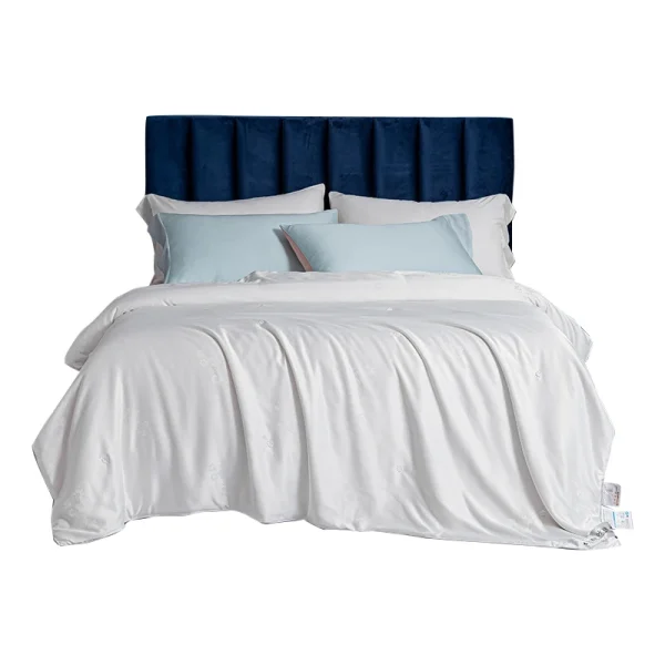 100% Mulberry Silk Comforters Cotton Jacquard Silk Filling Spring Summer Quilts Soft Warm Single Double Queen Duvet Comforters - Image 2